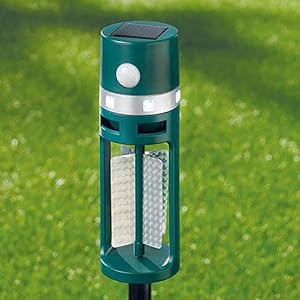SHOP-STORY – Reflectie: universele afschrikking voor de tuin, met zonne-energie tegen katten, honden, vogels, knaagdieren, ongedierte door ultrasone geluiden, lampen, 360°