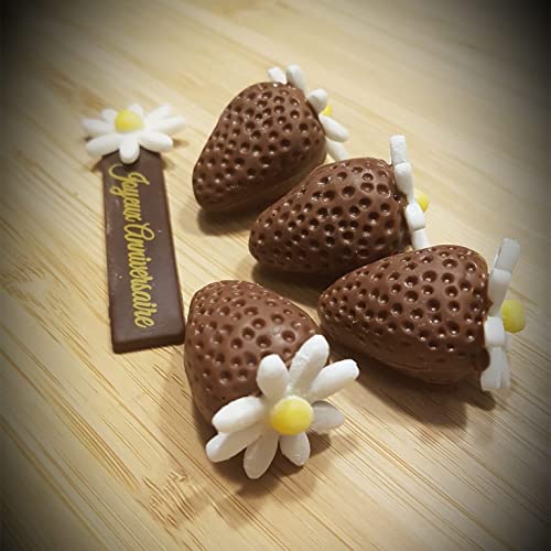 3D Strawberry Chocolate Mold Reusable Hard Solid Pe Plastic Candy Diy Mould #TOP1