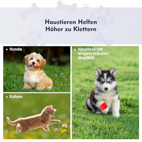 Myiosus Hundetreppe 4 Stufen, wasserdichte Haustiertreppe für Große Hunde und Katzen, rutschfest Hunderampe aus Schaumstoff, Waschbar Hunde Treppen mit Abnehmbarer Bezug für Sofa Hohe Bett, Grau