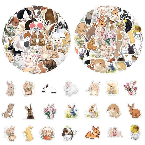 TVSVKWE 110 pegatinas de conejo, calcomanías autoadhesivas, lindos animales de dibujos animados, calcomanías divertidas de graffiti, decoración de monopatín para taza de agua