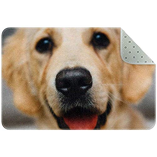 DragonSwordlinsu - Felpudo Antideslizante para Sala de Estar, Dormitorio, 60 x 40 cm, Tela, Multicolor, 60x40cm/24x16in