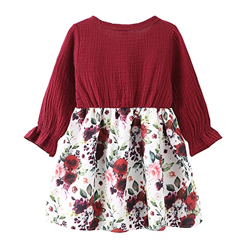 Toddler Baby Girls Long Sleeve Dresses Ruffle Floral Bowknot A Line Dress Sundress Fall Winter Ootfits Clothes2