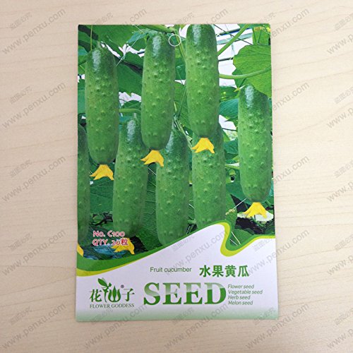 10pcs el 100% auténticos frescas Semillas raras higo chumbo de la fruta