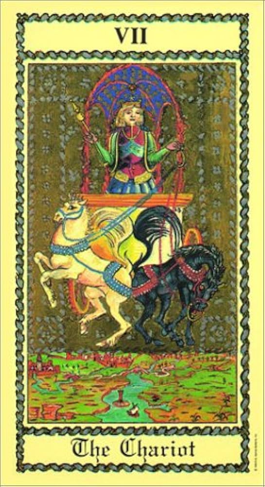 ブックセットは絶版♥The Medieval Scapini Tarot The Medieval Scapini Tarot Deck : Luigi Scapini: Amazon.ca