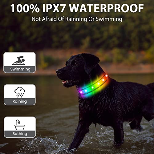 TRIPOLACO Leuchthalsband Hund Aufladbar, Hundehalsband Leuchtend wasserdichte, Mehrfarbig Einstellbare Leuchthalsband für Kleine Mittlere Große Hunde, Schwarz - L