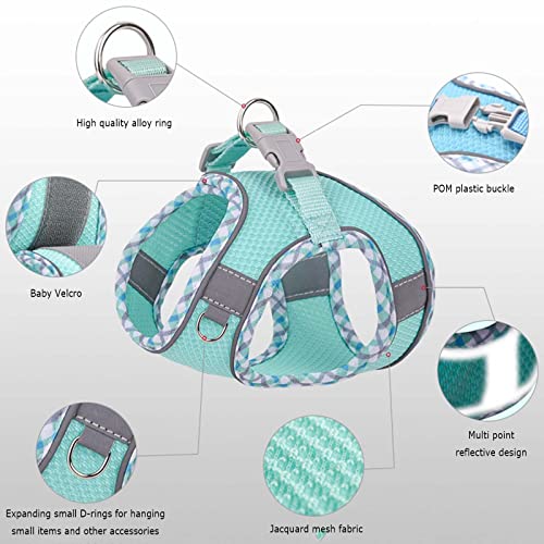 Factorys Hundegeschirr für kleine, mittelgroße und große Hunde, kein Ziehen, Welpengeschirr und Leine-Set, Verstellbar, Mint Green, Turquoise, XXS, Fischgrätmuster