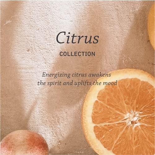 Pharmacopia Citrus Conditioner – Aromatherapy Hair & Scalp Care With Natural & Organic Ingredients – Vegan, Cruelty Free, Aromatic Conditioner, 16 Oz #TOP2