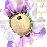 メロン マスクメロン �