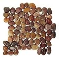 Interlocking Polished Pebble Floor Tiles (10-Sheets) Kitchen, Bathroom, Deck and Patio Flooring | Indoor and Outdoor Use | Natural Auburn Red Stones Tile | Quick and Easy Grout Installation