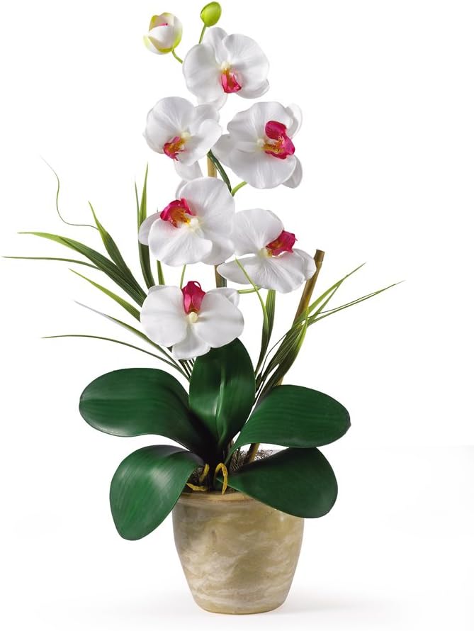 Nearly Natural 1016-WH Phalaenopsis Silk Orchid Flower Arrangement, White,6.75" x 6.75" x 22.5"