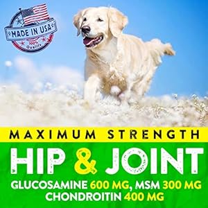   Hemp-Hip-and-Joint-Supplement-for-Dogs-Glucosamine-for-Dogs-170-Dog-Joint-Pain-Relief-Treats-Chondroitin-Hemp-Oil-MSM-Mobility-Flexibility-Support-Advanced-Joint-Health-Made-in-USA