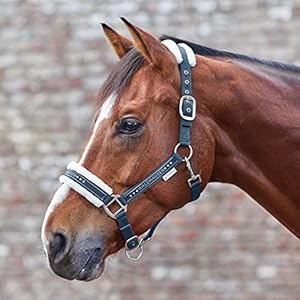 WALDHAUSEN Halter ELEGANT, nachtblauw, volbloed