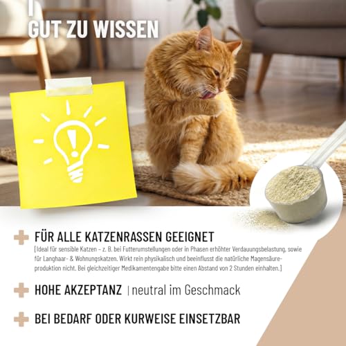ReaVET Magenmild Pulver für Katzen – Bei empfindlichem Magen, Neigung zu Erbrechen, Würgen, Sodbrennen oder weichem KOT – Magenpulver naturrein mit Bentonit, Heilerde I 50g