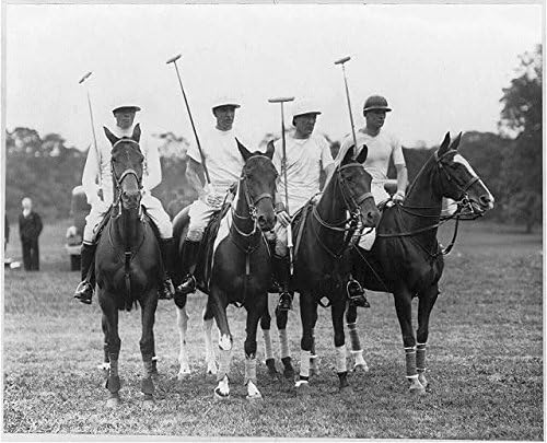 HistoricalFindings Photo Polo Team,Sanford,Hitchcock,Stevenson,Winston,Piping Rock Club,Locust Valley