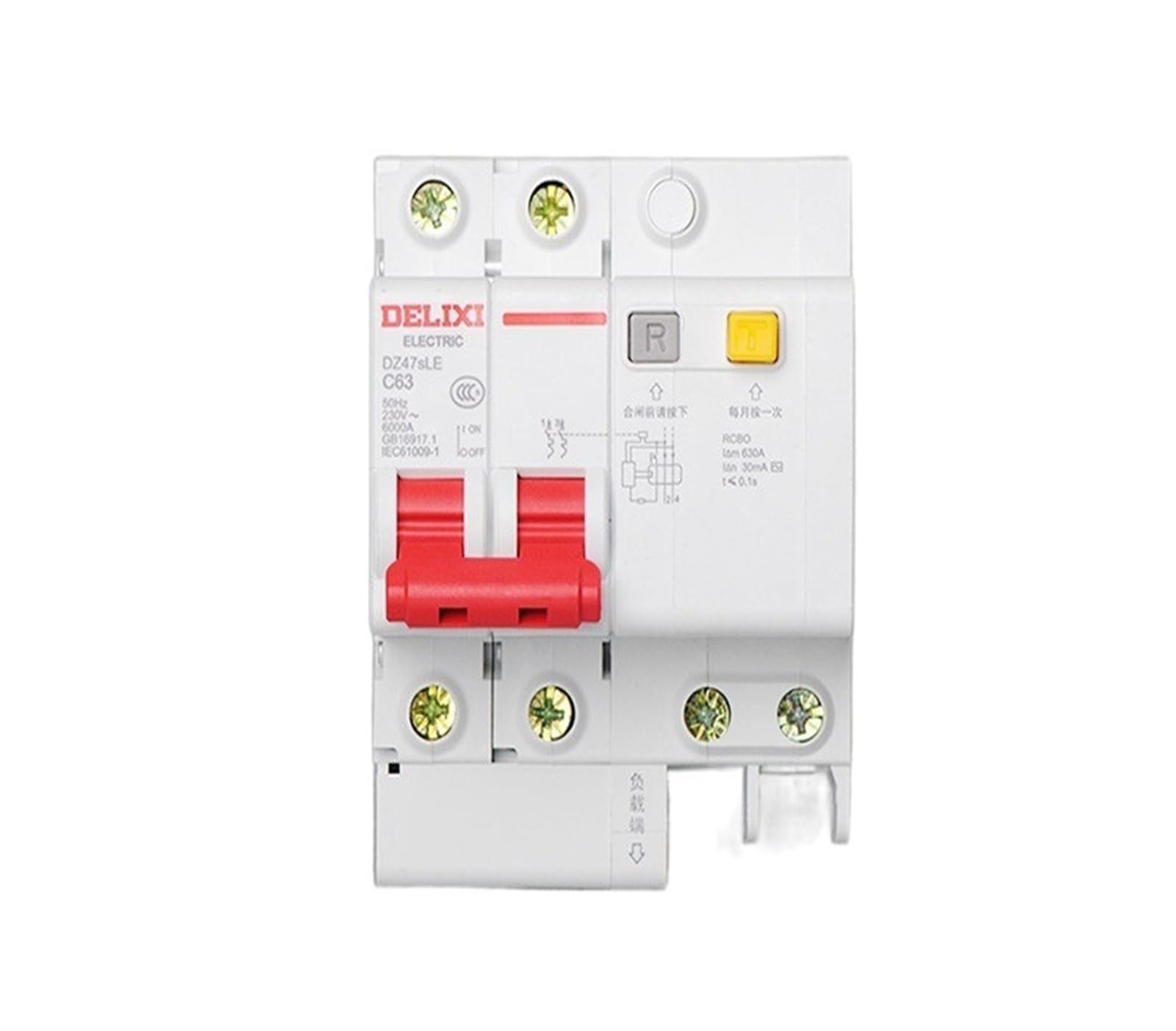 Disjoncteur de fuite 2P 80A avec protecteur thermique type D DZ47SLE