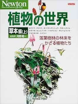 51T2QFCCSQL._AC_UF350,