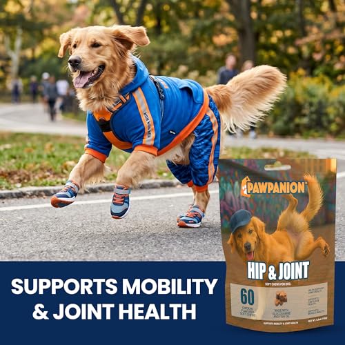 Image of Dog Hip and Joint Soft Chews with Glucosamine, 60 Count | Chondroitin, MSM, green lipped mussel and collagen support cartilage, flexibility and comfortable movement.
