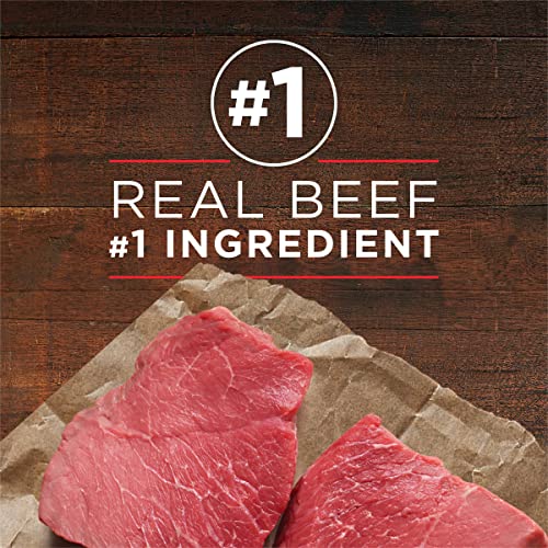Image of Purina ONE Wet Dog Food True Instinct Classic Ground Grain-Free Formula With Real Beef and Bison High Protein Dog Food - (Pack of 12) 13 oz. Cans