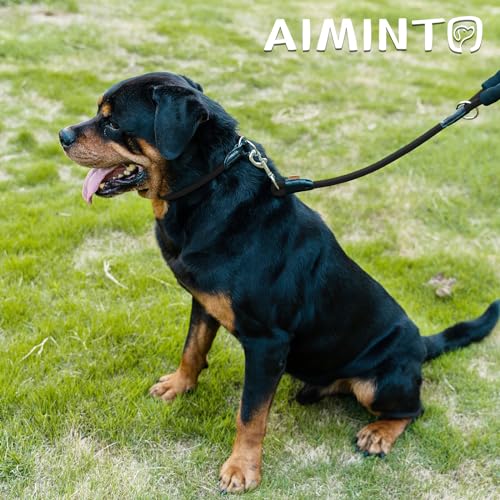 Aiminto Dog Leash Maintenance and Tips