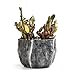 SE SUN-E Sun-E Modern Style Marbling Ceramic Flower Pot Succulent/Cactus Planter Pots Container Bonsai Planters with Hole 3.35 Inch Gift Idea(4 in Set) Plants Not Included
