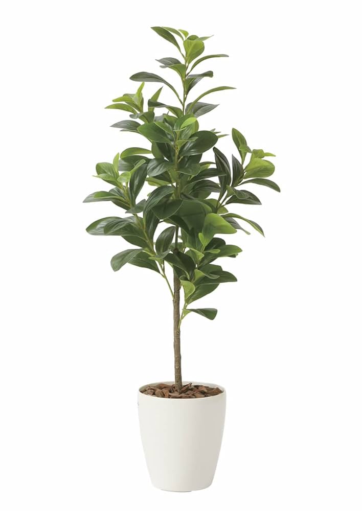 光触媒 人工観葉植物 フェイクグリーン フレッシュマネーツリー1.15m Amazon|光触媒 人工観葉植物 光の楽園 フレッシュマネーツリー