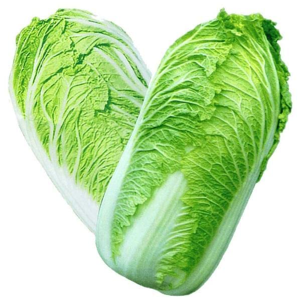 ®TRG-Chinese Cabbage Seeds F1 Hybrids Vegetable Seeds for Home Garden for Planting for All Season-15 SEEDS-CABS-40 (B0CJBWS8S6) Amazon Price History, Amazon Price Tracker