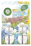  Air Wick Blütenzauber Duftölflakon Nachfüller 2x19ml Frühlingsblumen&Taufrische
