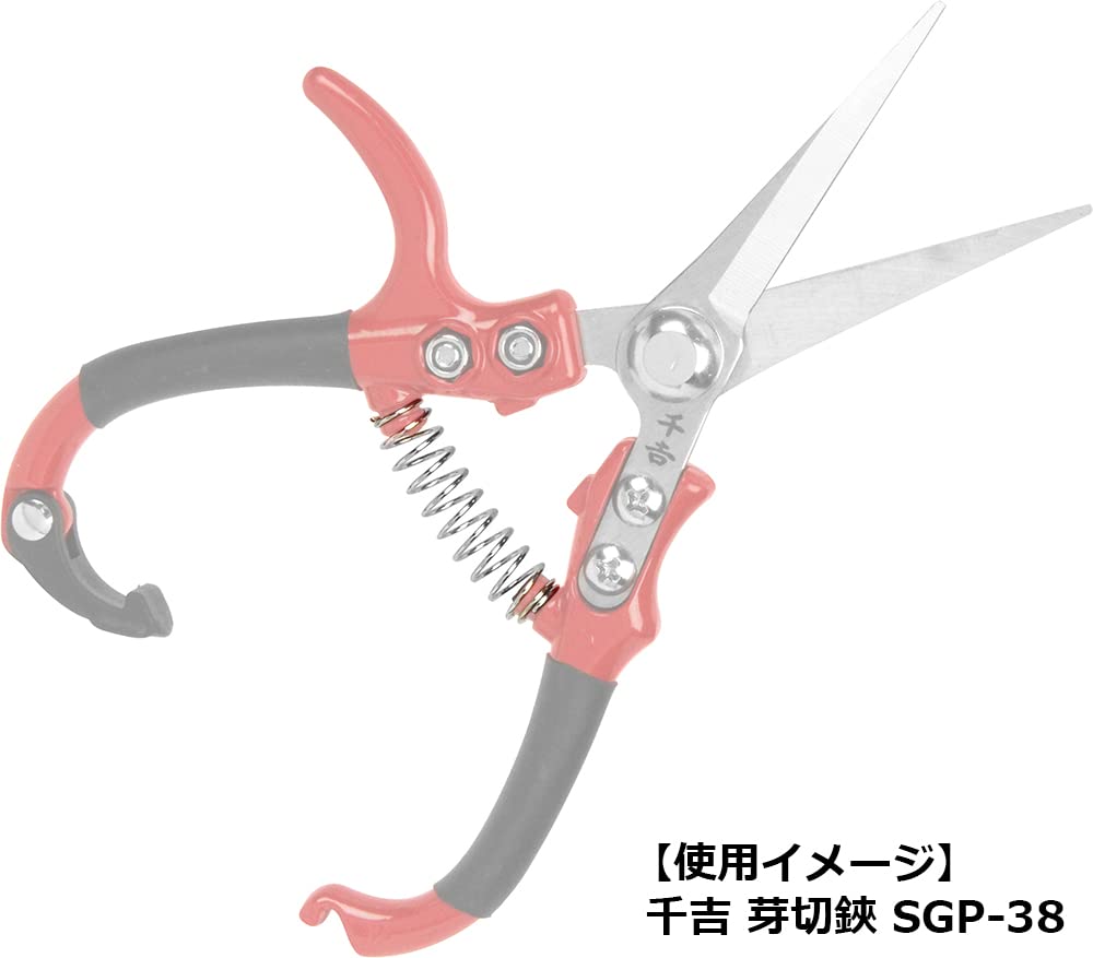 ぐく丸吉 専用にイイネ❌！ 10月が始まったのでいいねしてくれた人にいいねしてくれたなぁと