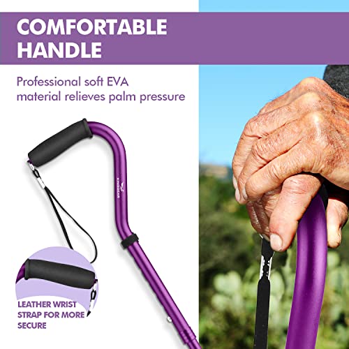 KINGGEAR Walking Cane for Women and Men, Lightweight and Sturdy Offset