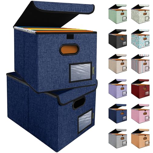 BALEINE File Organizer Box with Lid, Collapsible File Folder Organizer with Plastic Slide, Hanging File Folder Box for Office Document Storage (2 Pack, Blue) 2 Pack Blue