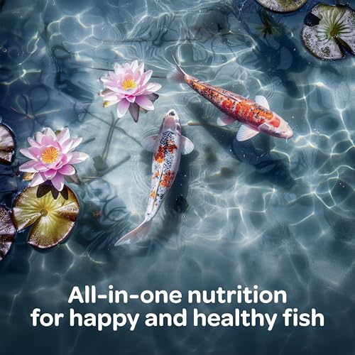 kaytee kois choice koi floating fish food for koi goldfish and pond fish 10 pounds