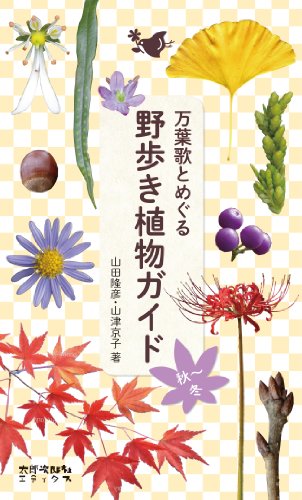 野歩き植物ガイド[秋~冬]