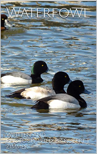Waterfowl (English Edition)