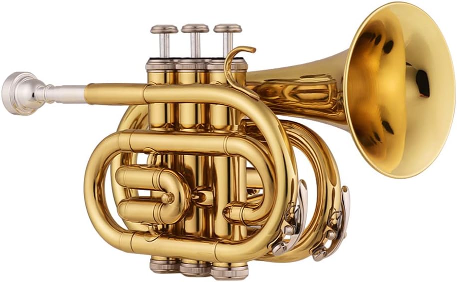 ミニ ポケット トランペット Bb フラット 真鍮素材 管楽器 マウスピース グローブ クリーニングクロス キャリングケース付き