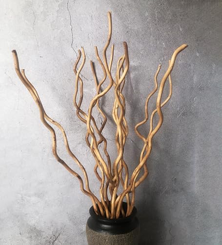 58 cm Dried Curly Willow Branches, 15 Stems Dried Twigs Wooden Sticks, Natural Dried Plants Decorative Branches for Xmas Rustic Home Decor (Champagne Gold)