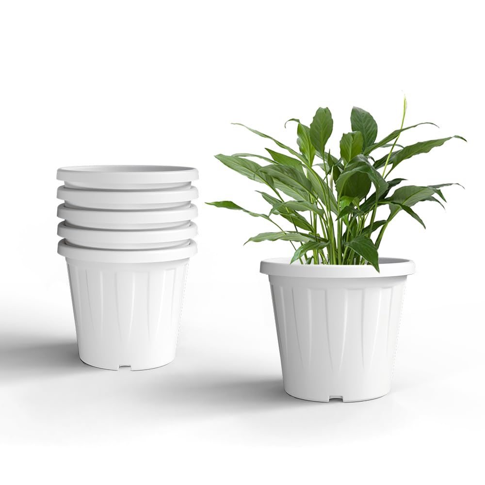 YUCCABE ITALIA 6 Pack White Nursery Planters -1