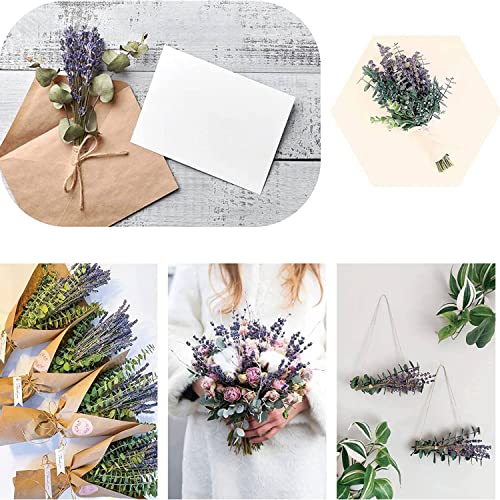 15 tallos de eucalipto y lavanda seca preservada miniatura 3