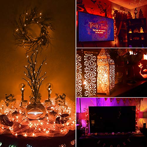 Halloween Orange Fairy String Lights: 12 Pack 7 Ft 20 LED Battery Operated Firefly Lights on Black Wire Starry Moon Lights for DIY Party Bedroom Patio
