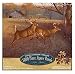 Reflective Art Opening Day 1000-Piece Jigsaw Puzzle Set