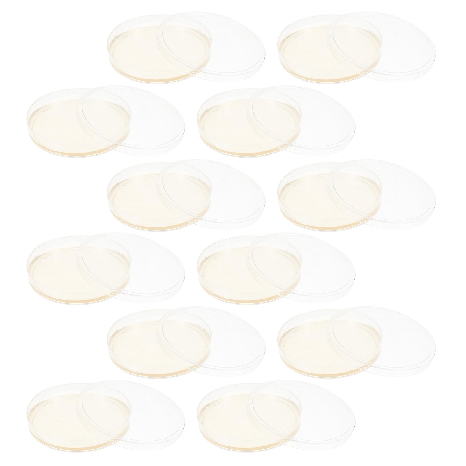 SOLUSTRE Piastre di Petri Agar Pre-colato 9 Cm 20 Pezzi per Coltura Cellulare e Campioni Coperchi Ermetici per Forniture di Laboratorio e Esperimenti Scientifici