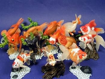 Amazon.co.jp: 原色観賞魚図鑑Ⅰクロデメキン金魚黒出目金
