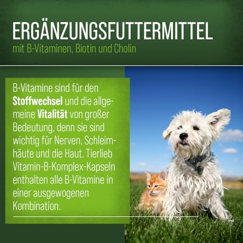 Sanct Bernhard Vitamin-B-Komplex-Hunde-120 Kapseln, 1er Pack (1 x 48 g)