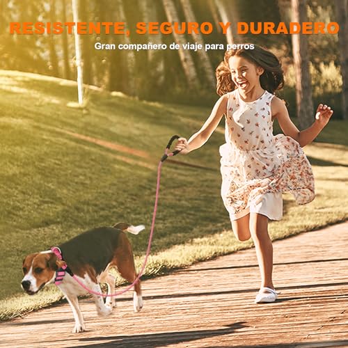 Collares Y Correas, Pet Products Imagen adicional