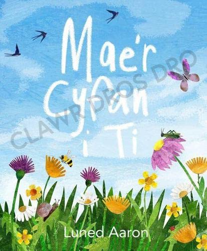 Maer Cyfan i Ti