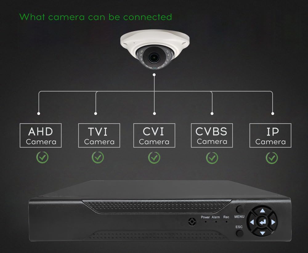 BW 8CH H.264 CIF Enregistreur vidéo DVR sans disque dur