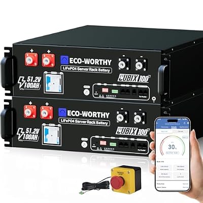 ECO-WORTHY Cubix100 48V 200Ah LiFePO4 Lithium UL9540 Server Rack Battery