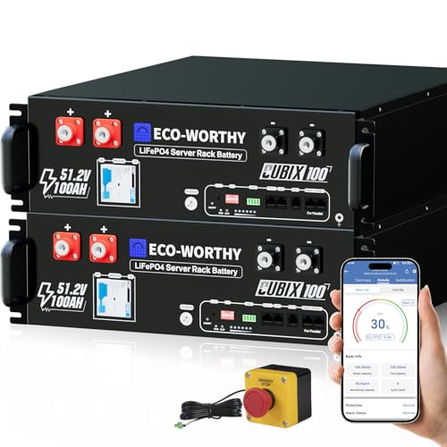 ECO-WORTHY (Cubix 100) 48V 200Ah LiFePO4 Lithium Battery (2 Pack 48V 100AH) w/Bluetooth | UL1973 & UL9540A & CEC Listed | 10.24KWh Server Rack Battery for Solar Energy Storage, Home Backup Power