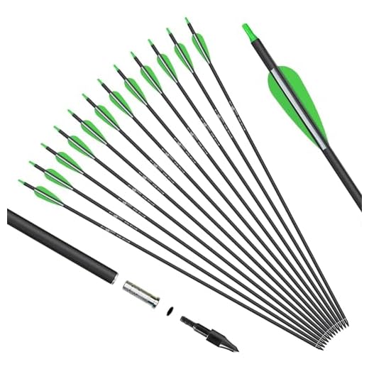 KESHES Archery Carbon Arrows for Recurve, Longbow, Traditional Bows – 30-Inch Archery Arrows - Removable Nocks & Tips for Target Practice – Durable Archery Accessories for Youth & Adults (12 Pack)