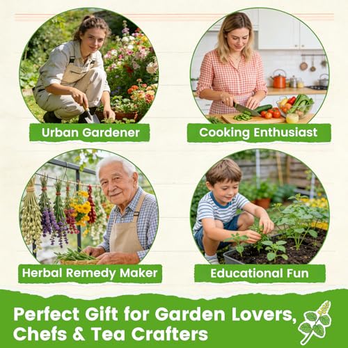 20% Off Herb Seeds 15-Pack - 4,500+ Non-GMO Heirloom Seeds - Image 4