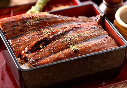 港ダイニングしおそう 鰻蒲焼き 無頭 鹿児島県産 (特大サイズ 200g×1尾) 【※2尾以上のご注文でギフト用化粧箱でお届けします】 国産 ウナギ うなぎ